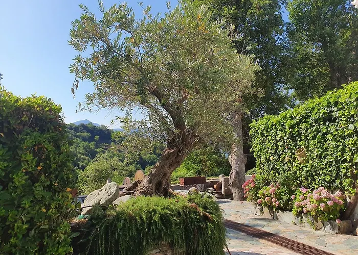Villa Maison De Charme Avec Piscine Et Vue Exceptionnelle