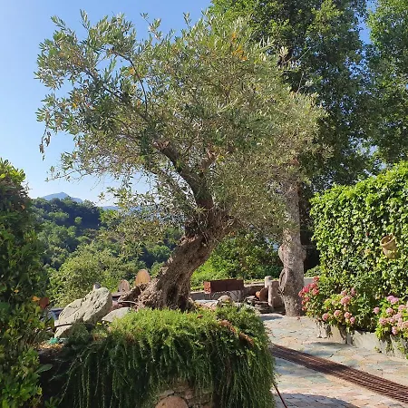 Villa Maison De Charme Avec Piscine Et Vue Exceptionnelle